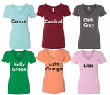Plain V-Neck Shirt, 100+ Color V-Neck Shirt, Women Sizes, Soft and Comfy Colorful Blank, Unisex Fit V Neck Tee, V Neck Blank Tee